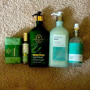 Bath and body Eucalyptus set. Brand new